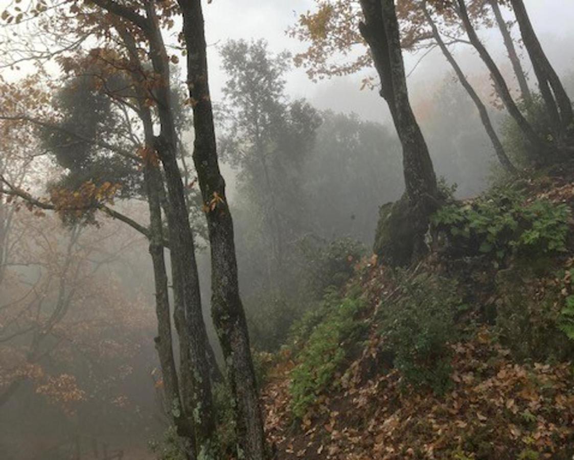Aurora 2-Bed Cottage - Sleeps 4 - Montseny Park อาร์บูเซียส ภายนอก รูปภาพ